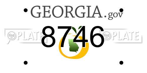 8746 Georgia License Plate