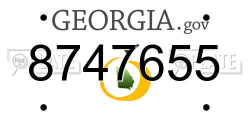 8747655 Georgia License Plate
