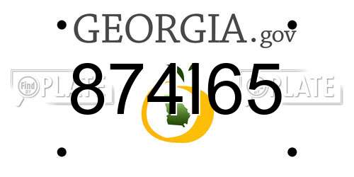 874I65 Georgia License Plate