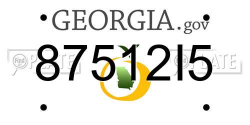 87512I5 Georgia License Plate
