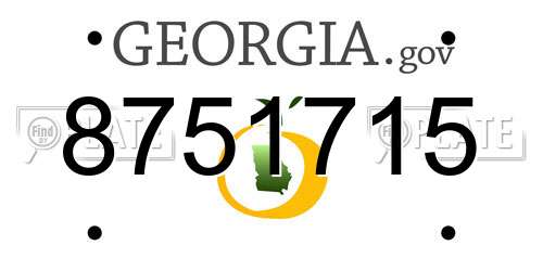 8751715 Georgia License Plate