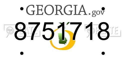8751718 Georgia License Plate