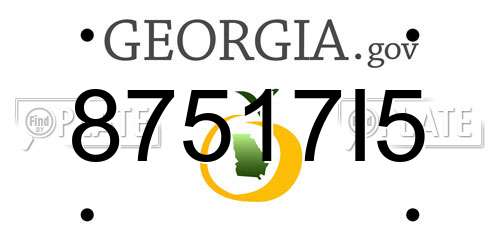 87517I5 Georgia License Plate