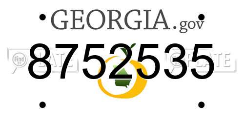 8752535 Georgia License Plate