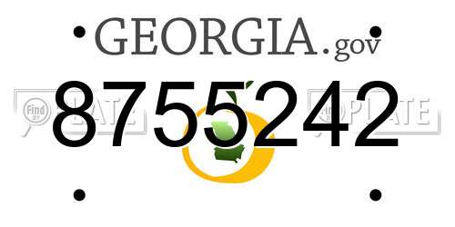 8755242 Georgia License Plate