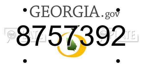 8757392 Georgia License Plate
