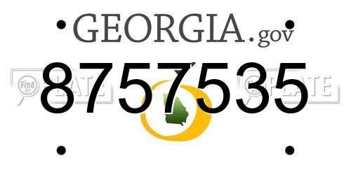 8757535 Georgia License Plate