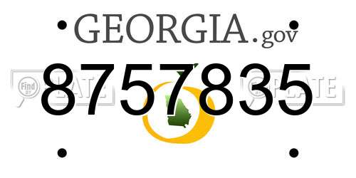 8757835 Georgia License Plate