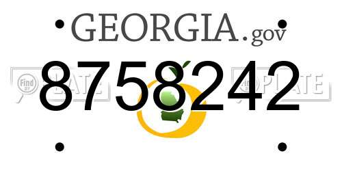 8758242 Georgia License Plate