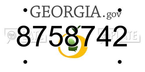 8758742 Georgia License Plate