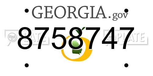 8758747 Georgia License Plate
