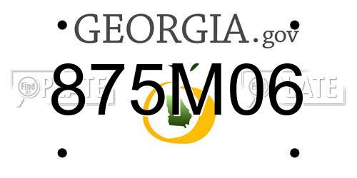 875M06 Georgia License Plate