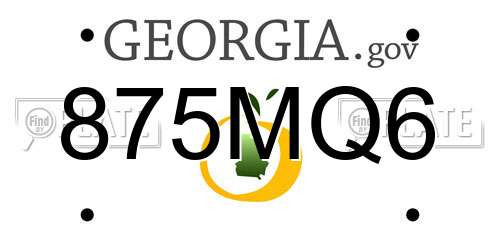 875MQ6 Georgia License Plate