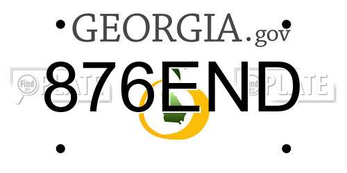 876END Georgia License Plate