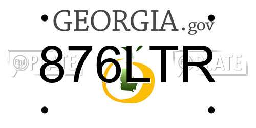 876LTR Georgia License Plate