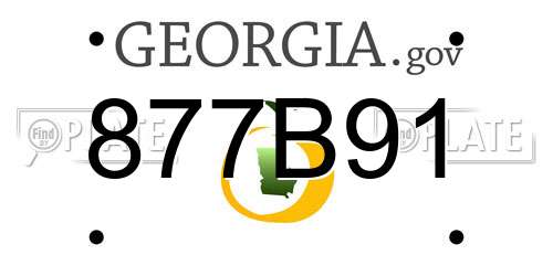 877B91 Georgia License Plate