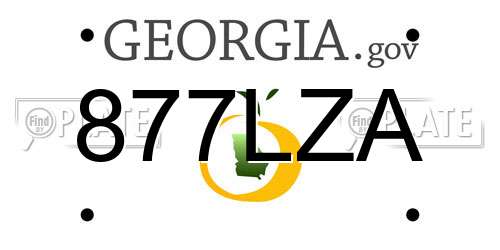 877LZA Georgia License Plate