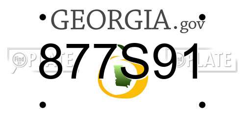 877S91 Georgia License Plate