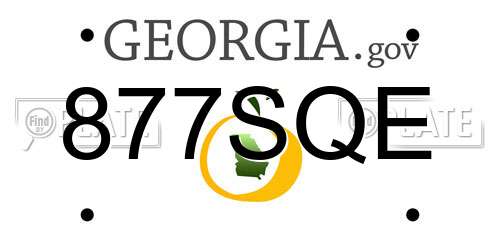 877SQE Georgia License Plate