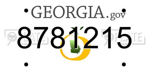 8781215 Georgia License Plate
