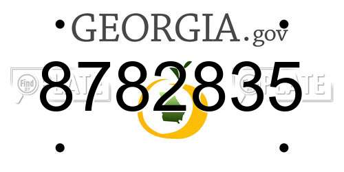 8782835 Georgia License Plate