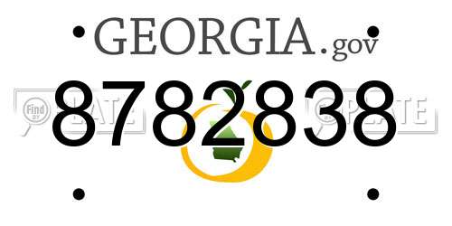 8782838 Georgia License Plate