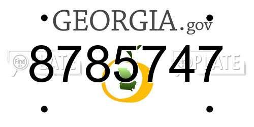 8785747 Georgia License Plate