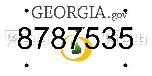 8787535 Georgia License Plate