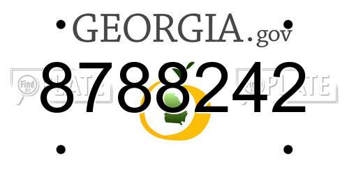 8788242 Georgia License Plate