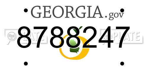 8788247 Georgia License Plate