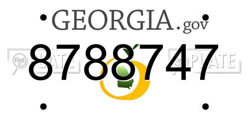 8788747 Georgia License Plate