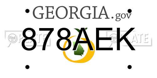 878AEK Georgia License Plate
