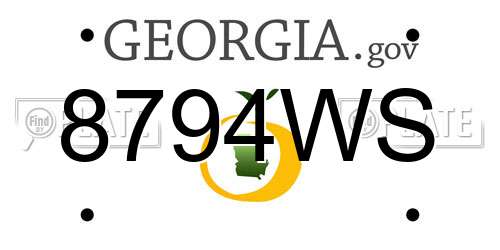 8794WS Georgia License Plate