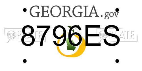 8796ES Georgia License Plate