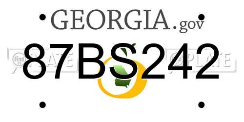 87BS242 Georgia License Plate