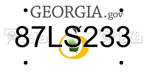 87LS233 Georgia License Plate