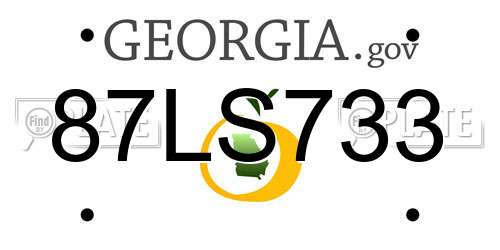 87LS733 Georgia License Plate