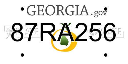 87RA256 Georgia License Plate
