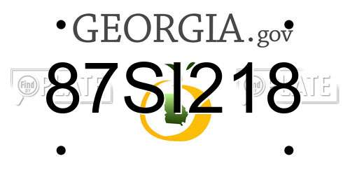87SI218 Georgia License Plate