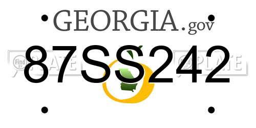87SS242 Georgia License Plate