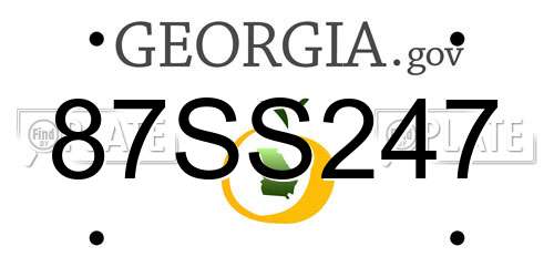 87SS247 Georgia License Plate