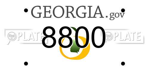 8800 Georgia License Plate