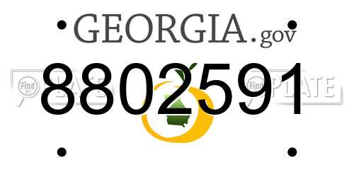 8802591 Georgia License Plate