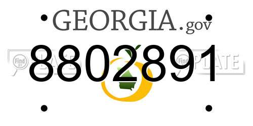 8802891 Georgia License Plate
