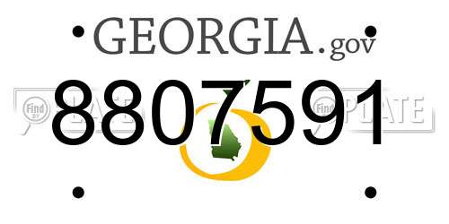 8807591 Georgia License Plate