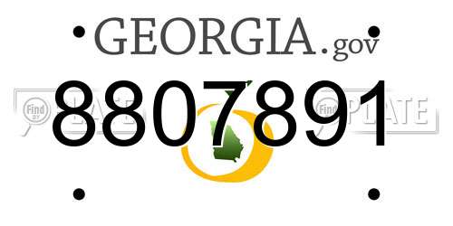 8807891 Georgia License Plate