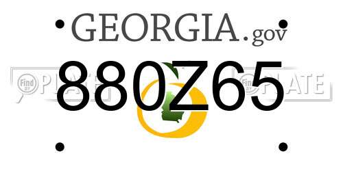 880Z65 Georgia License Plate