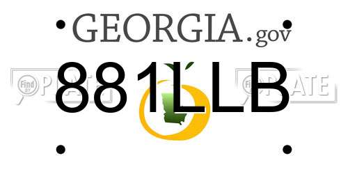 881LLB Georgia License Plate