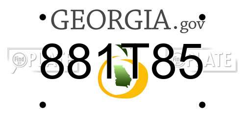 881T85 Georgia License Plate
