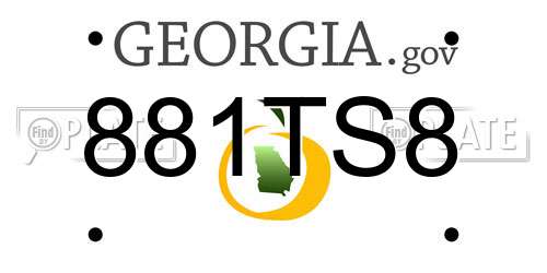 881TS8 Georgia License Plate